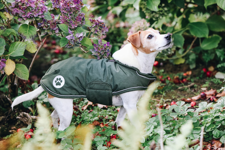 Waterproof and warm dog rug