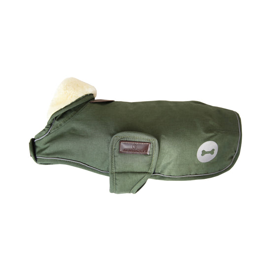 Waterproof and warm dog coat