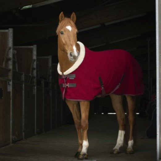 Burgundy Polar Fleece Horse Rug