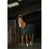Equi-Theme Teddy Fleece Rug