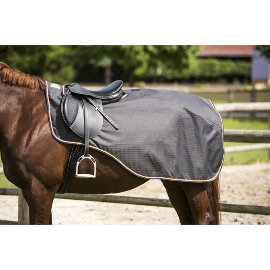 Water proof riding rug