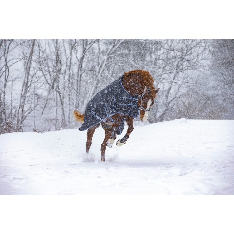 turnout rug with Antistatic and anti-chafing polyester taffetas lining