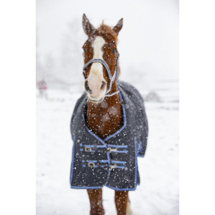 winter rug Very deep design with no back seam and extra-long 32cm “soft touch” micro-polar fleece padding at withers.