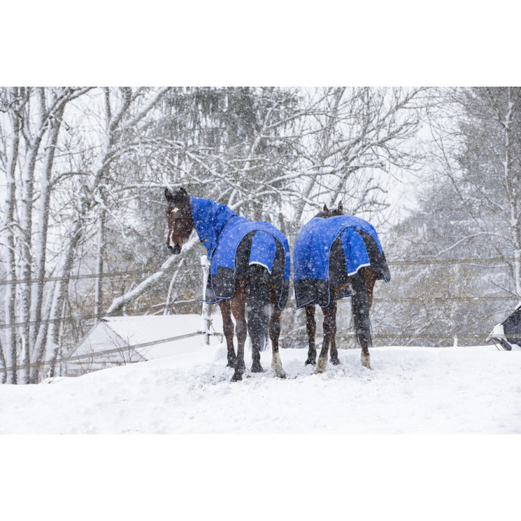 turnout rug in 1200 Denier ripstop polyester