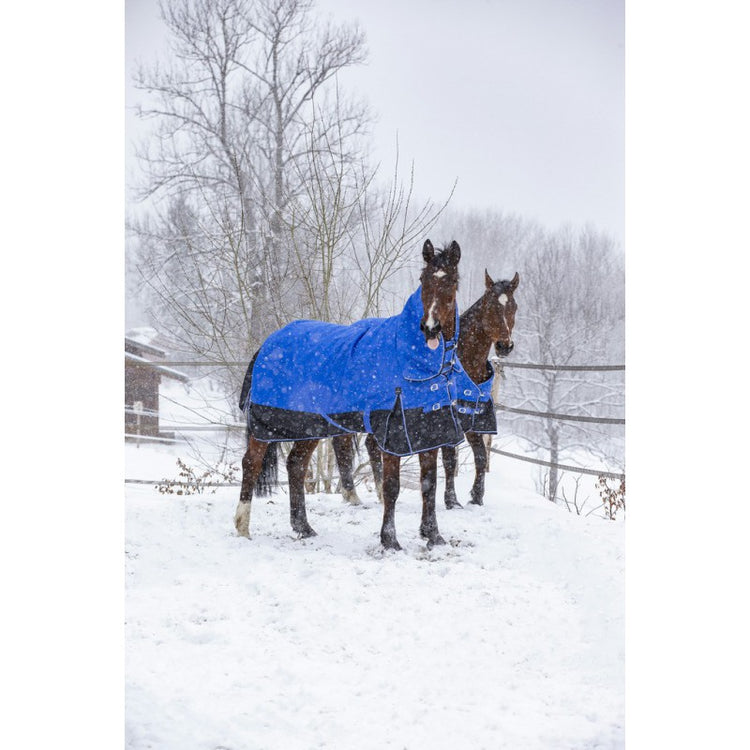 high neck turnout rug for winter