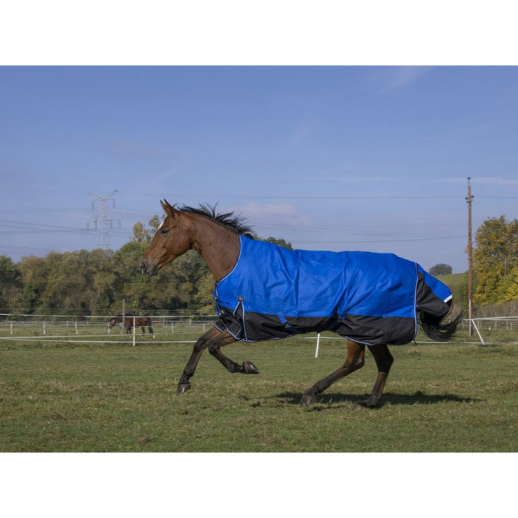 outdoor rug