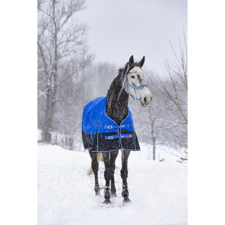 Winter rug