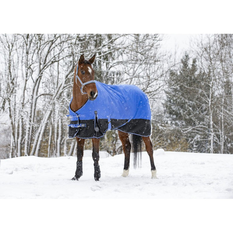 outdoors rug for winter