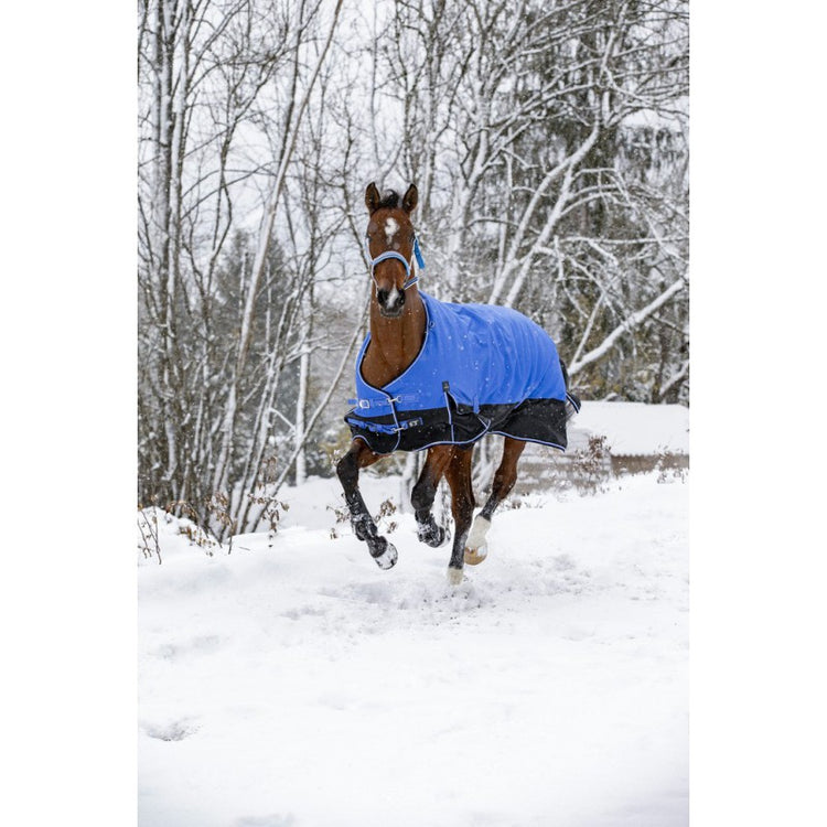 turnout rug 300g