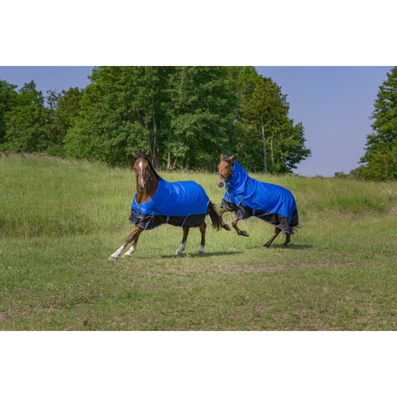 150 g turnout rug
