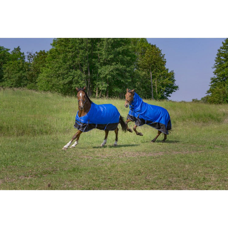 150 g turnout rug