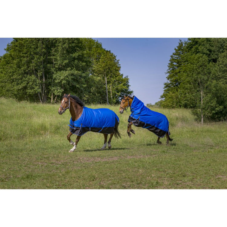 50 g turnout rug