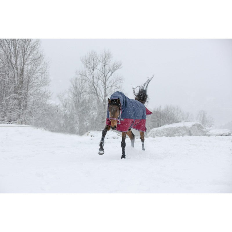 waterproof horse rug