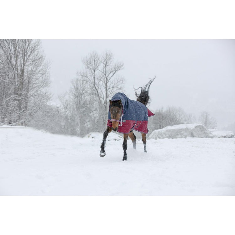waterproof horse rug