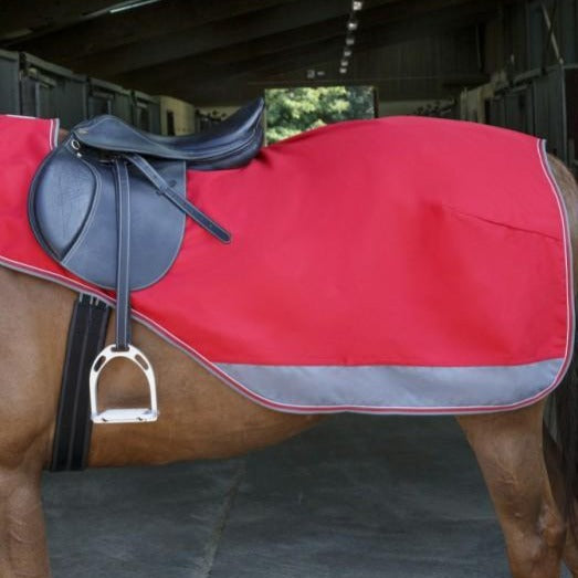 Warm Exercise Rug