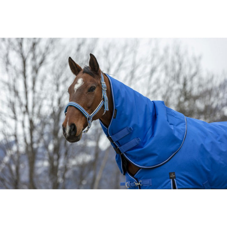 bright blue neck cover
