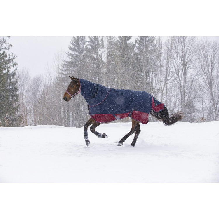 winter neck rug for horses in navy