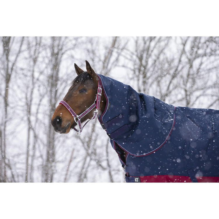 neck cover for horses