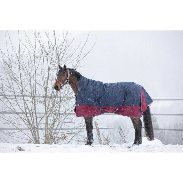 1200 Denier ripstop polyester winter rug