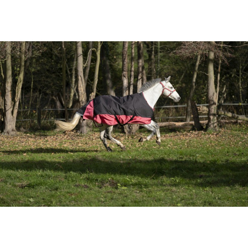 turnout rug  sheepskin padding at withers inside the rug