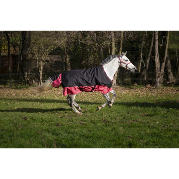 summer turnout rug