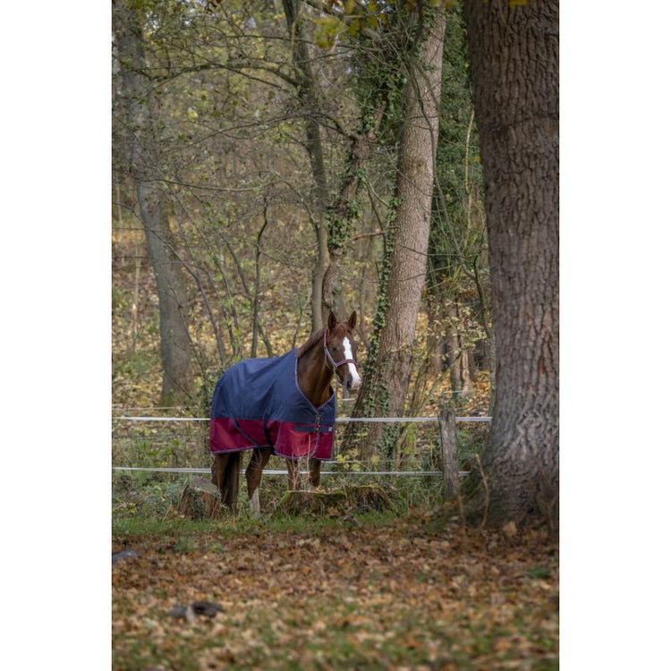 turnout rug Tyrex 1200D Turnout Rug