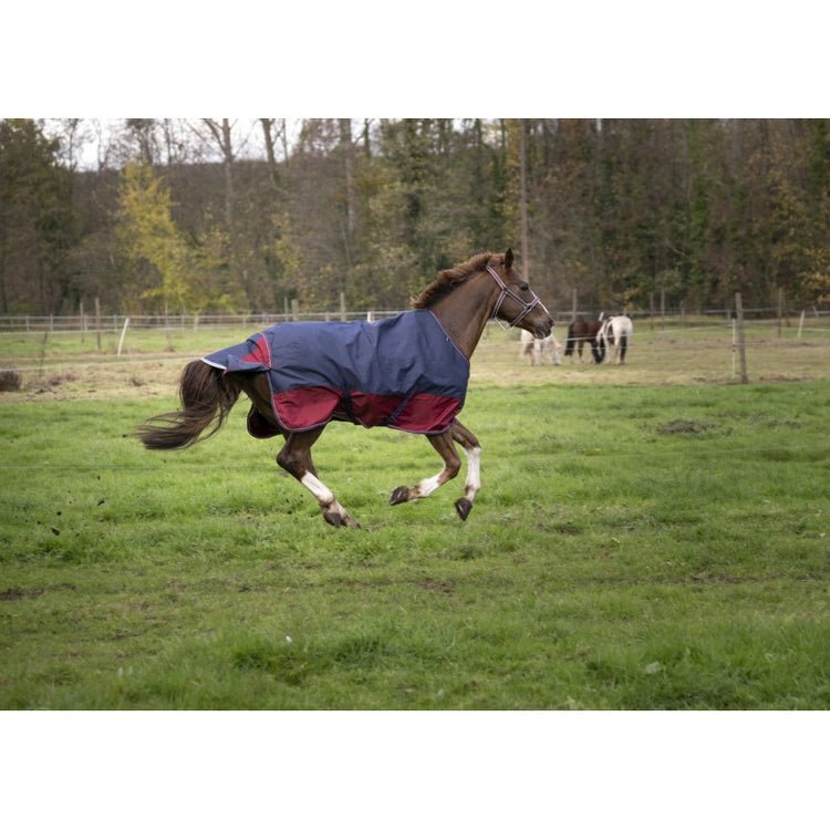 turnout rug with tail flap