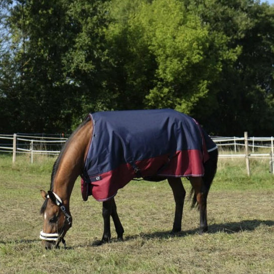 equi-theme Tyrex 1200D Turnout Rug