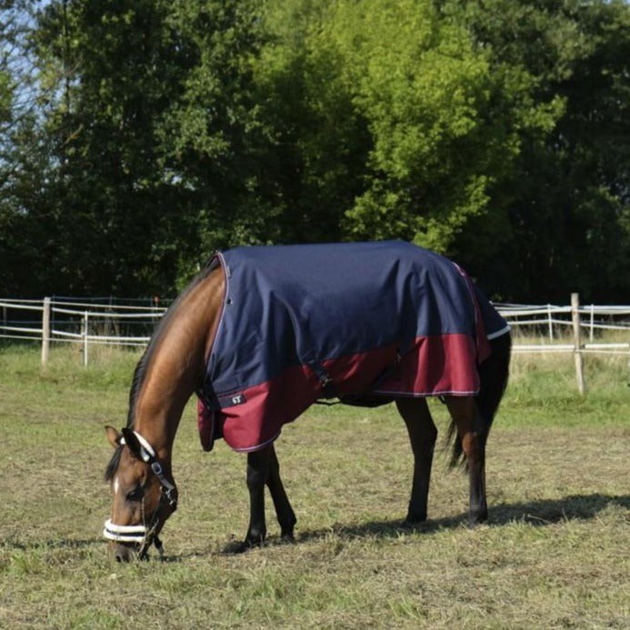 navy burgundy turnout rug 0 g