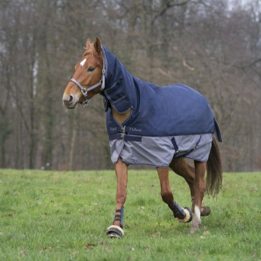Equi-Theme Tyrex 600D Combo Turnout Rug