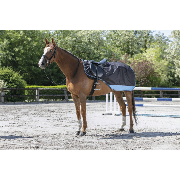Waterproof and breathable exercise sheet