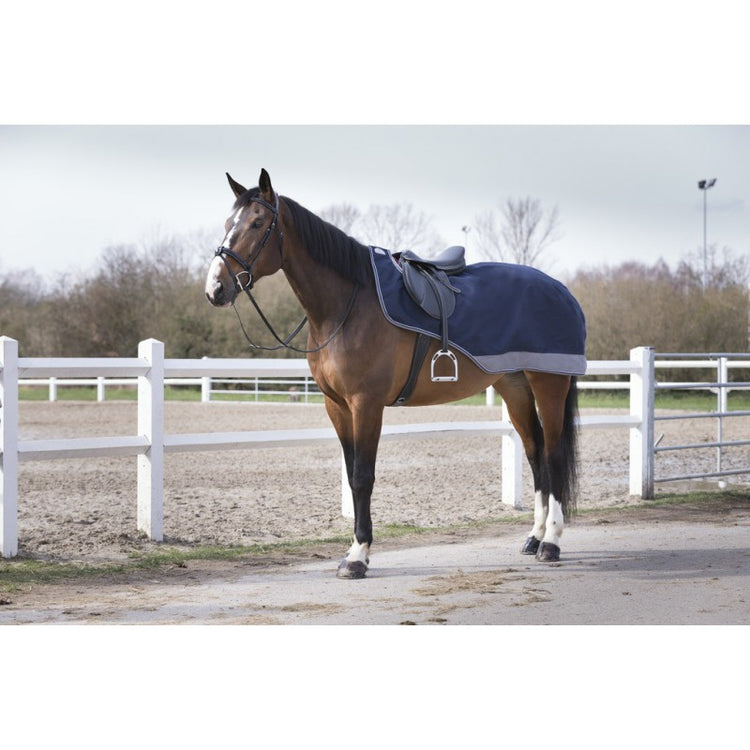 Equi-Theme Tyrex 600D Exercise Sheet