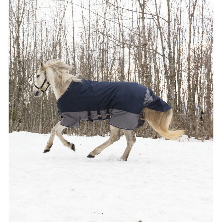 Waterproof turnout rug cheap