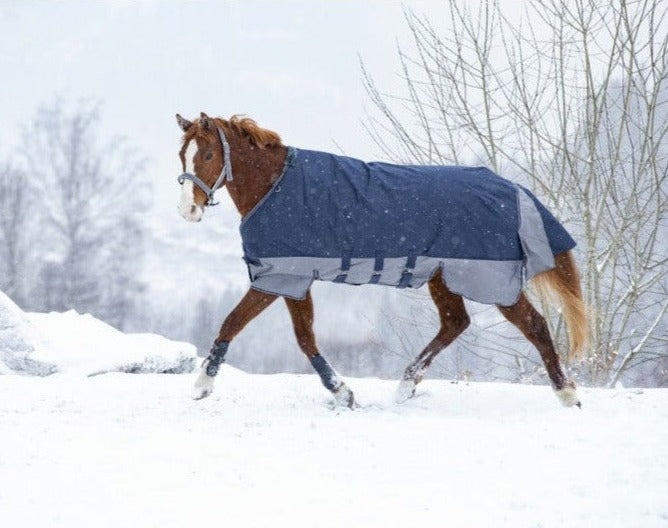 winter turnout rug