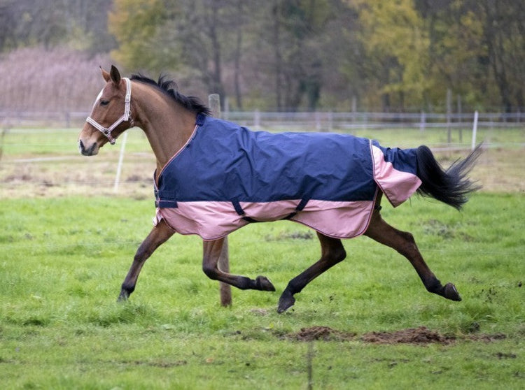 Equi-Theme Tyrex 600D Turnout Rug