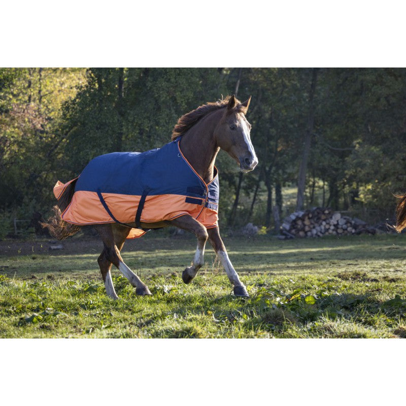 orange navy turnout rug