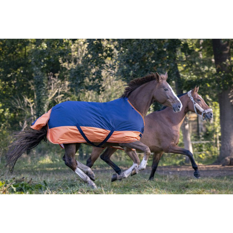 orange turnout rug