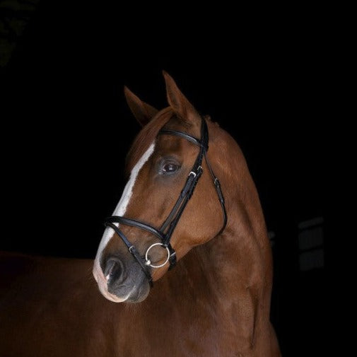 Black work bridle