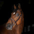 Fancy stitch bridle