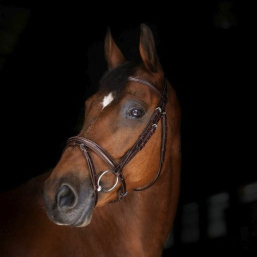 Fancy stitch bridle