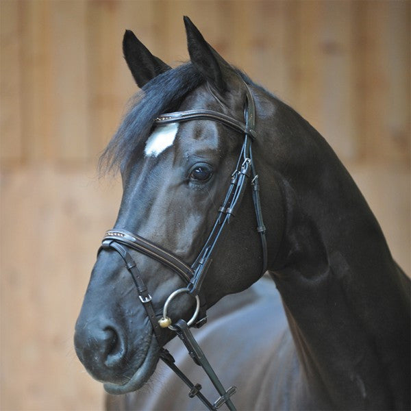 Kavalkade Bridle Estella