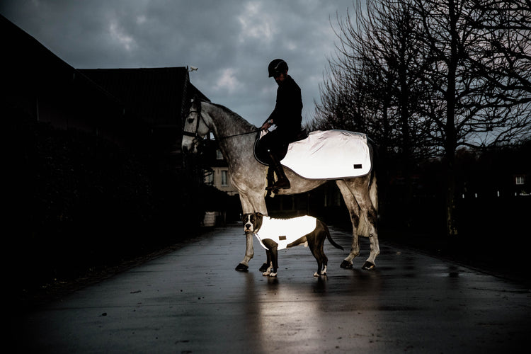 Winter Horse riding rug with reflection 