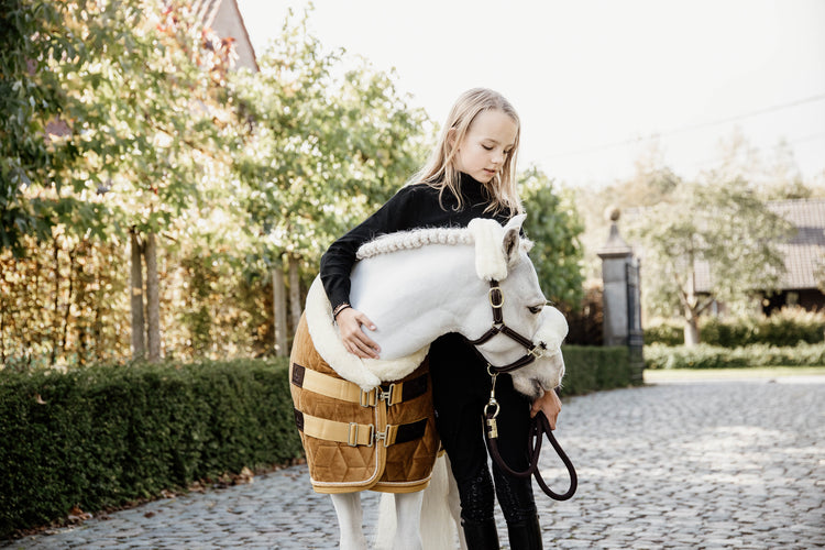 pony winter rug for transport