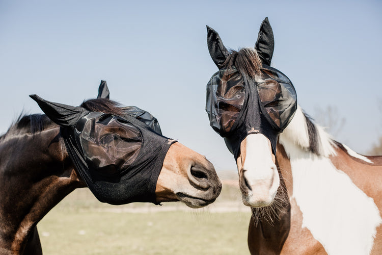 horse fly mask with forelock hole