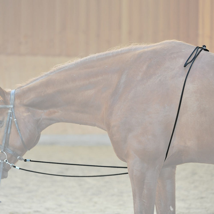 HO Lunging Aid