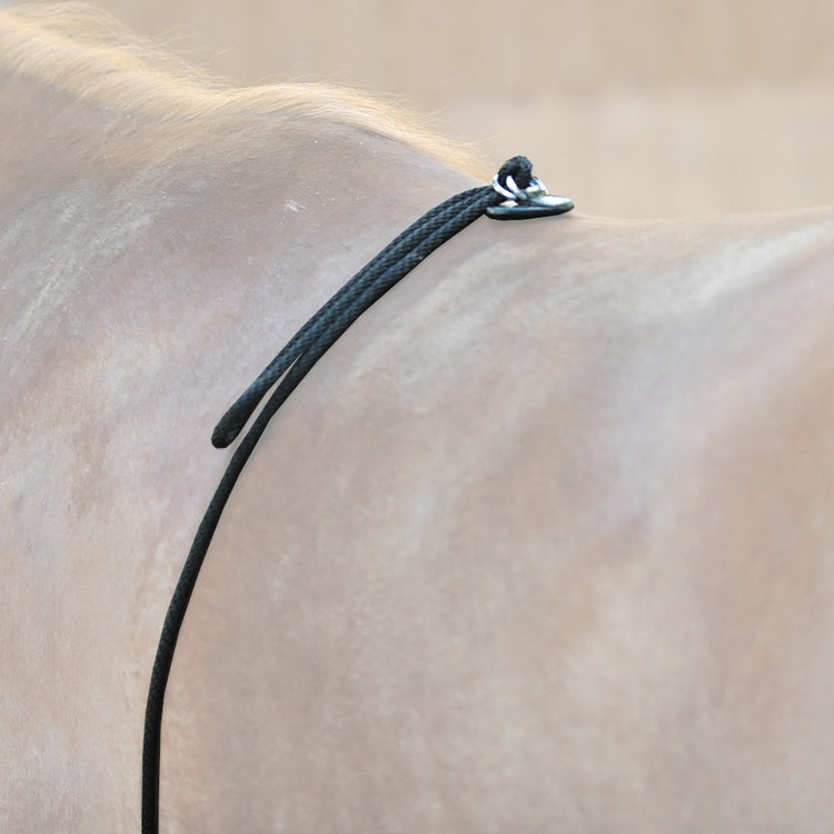 Lunging Aid