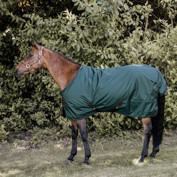 Kentucky Outdoor Rug Waterproof