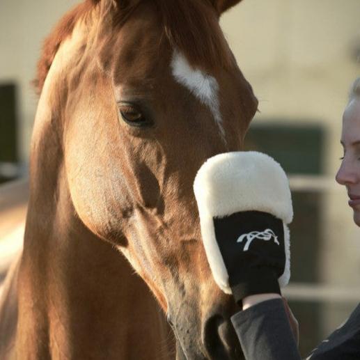 Faux sheepskin grooming glove for horses