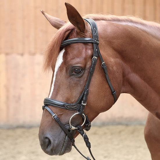 Kavalkade Ivy Bridle