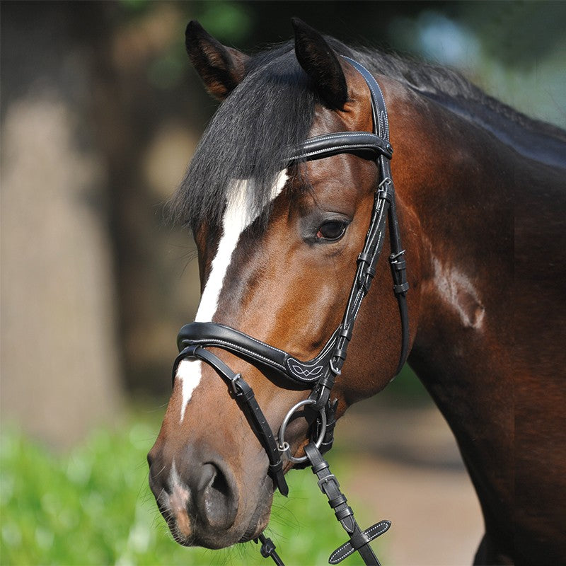 Anatomic Bridle